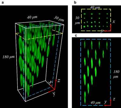 西電物理學(xué)院王軍利教授團(tuán)隊(duì)在國(guó)際頂級(jí)期刊發(fā)表新型元件與器件研發(fā)突破性成果